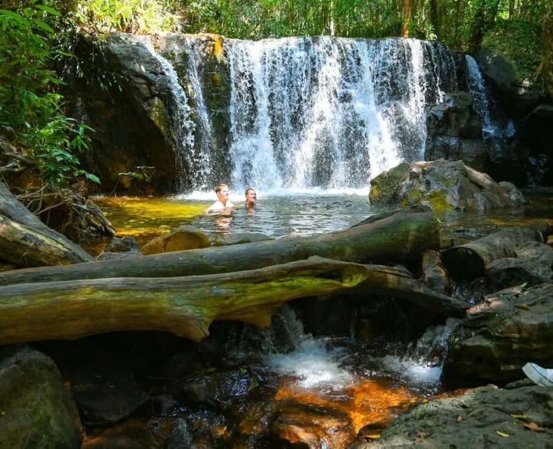 Sinharaja Rainforest: Nature Tour with Local Guide - Who Should Consider This Tour?