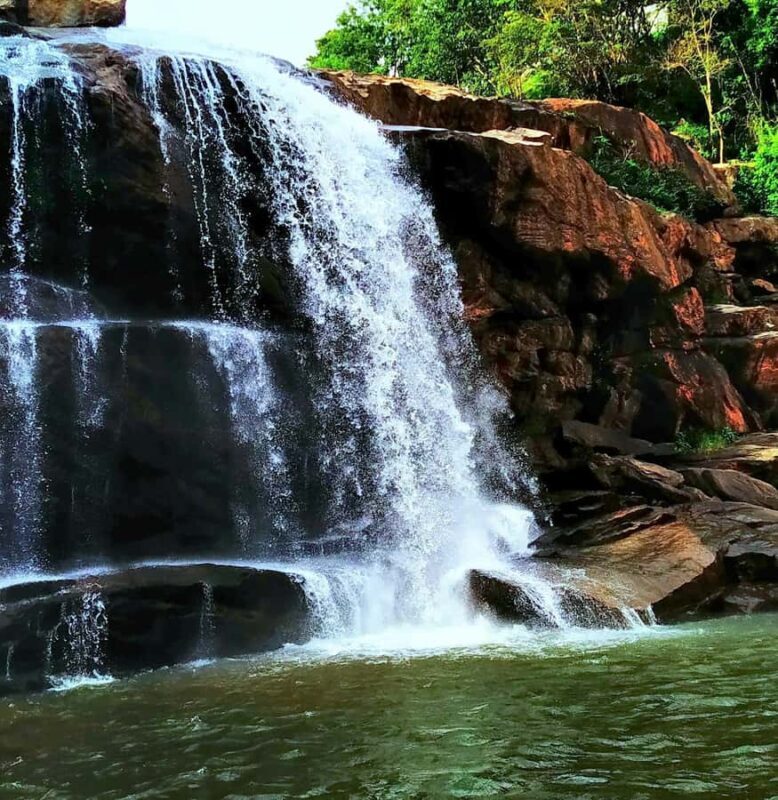 Sinharaja Rainforest: Nature Tour with Local Guide - FAQ