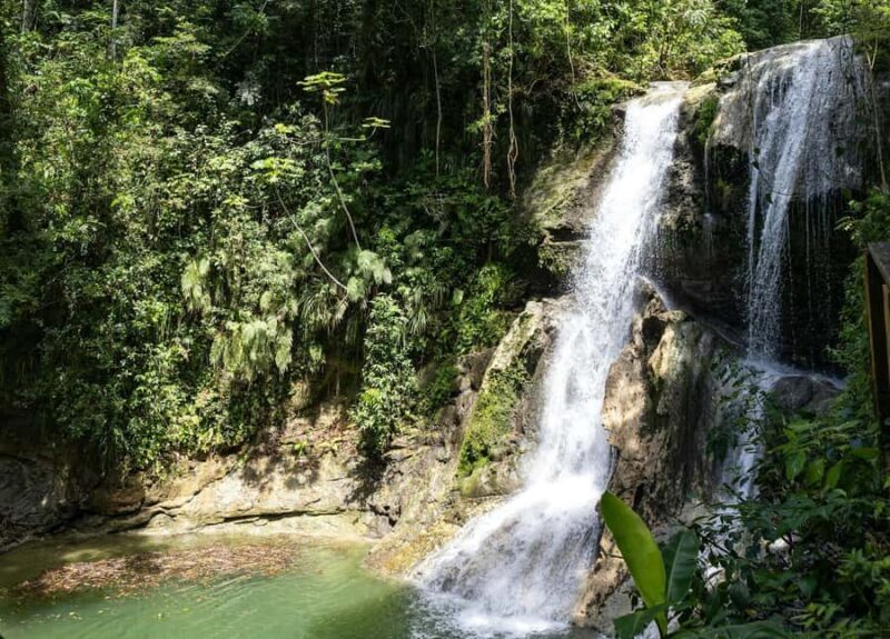 Sinharaja Rainforest: Nature Tour with Local Guide - Who Will Love This Tour?