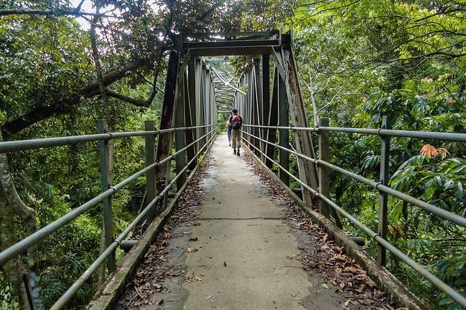 Sinharaja Rainforest Private Half Day Tour With Licensed Guide - Inclusions and Pickup Options