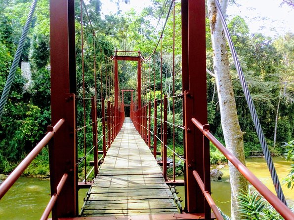 Sinharaja Rainforest Private Tour From Aluthgama  - Galle - Tour Start Time and Accessibility
