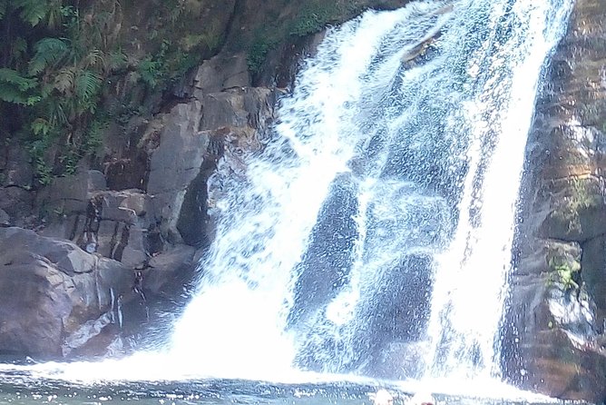 Sinharaja Rainforest Private Tour From Aluthgama  - Galle - Additional Information and Traveler Photos