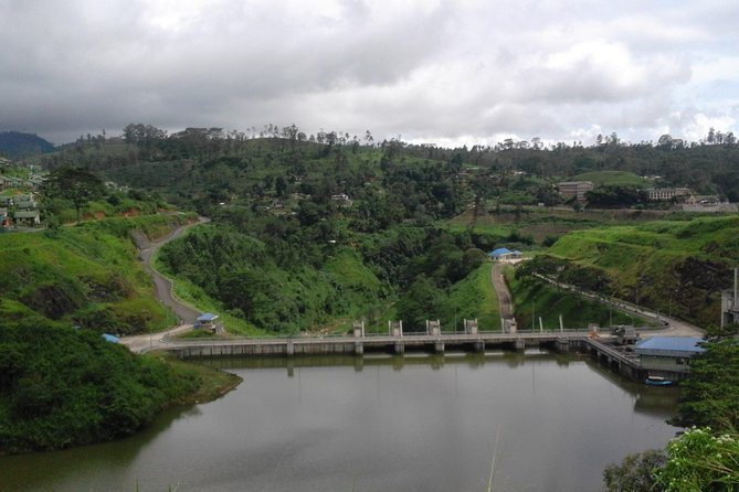Sinharaja Rainforest Private Tour From Aluthgama  - Galle - Contact and Terms & Conditions