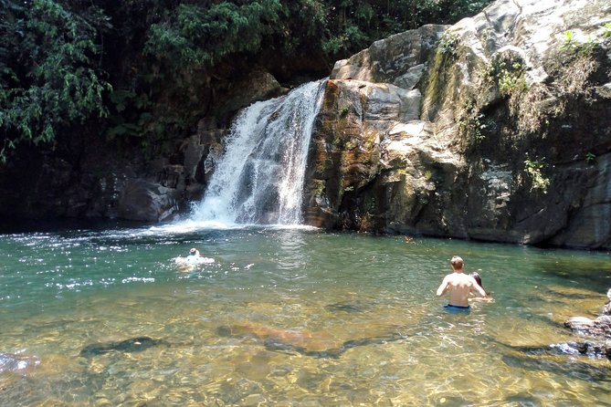 Sinharaja Rainforest Private Tour From Aluthgama  - Galle - Common Questions