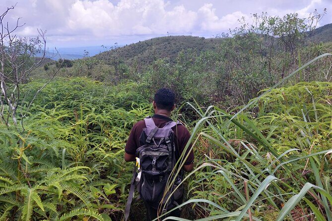 Sinharaja Rainforest Private Tours and Rainforest Entrance Ticket - The Sum Up