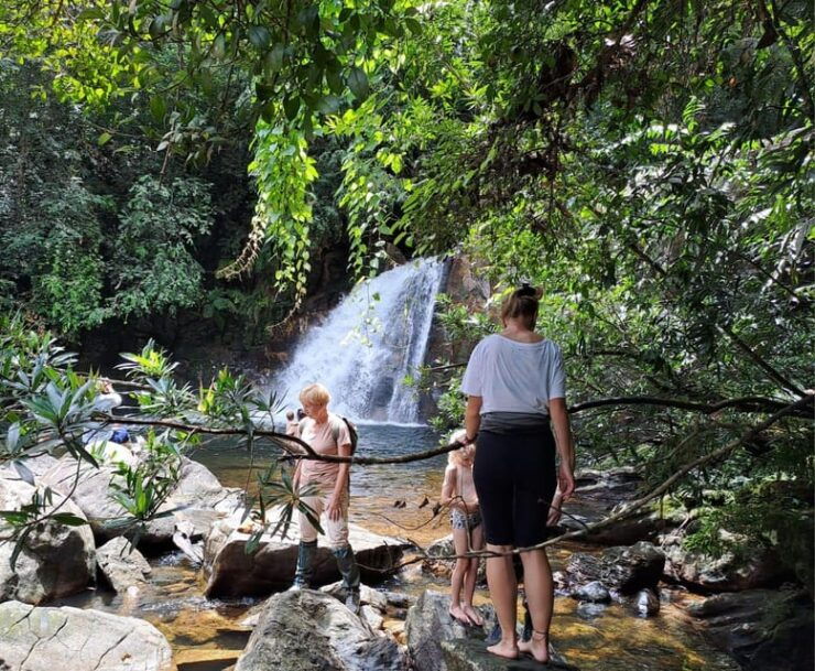 Sinharaja Rainforest Tour - Good To Know