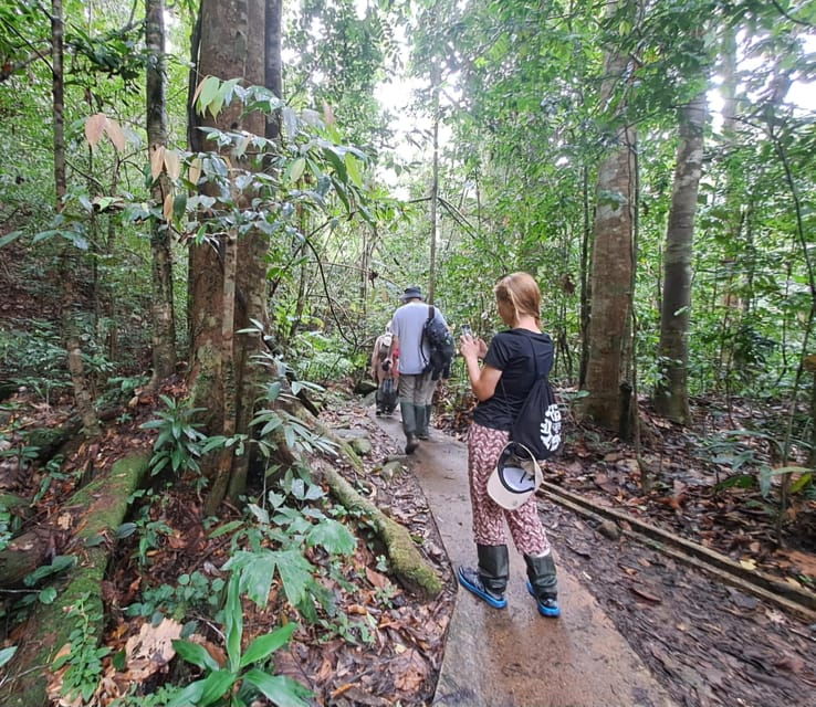 Sinharaja Rainforest Tour - Itinerary and Transportation