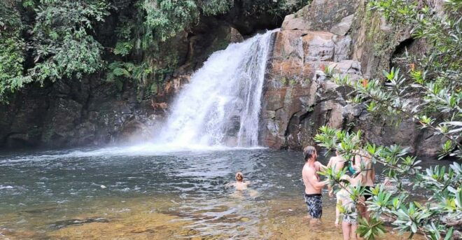 Sinharaja Rainforest Tour - Experience Highlights