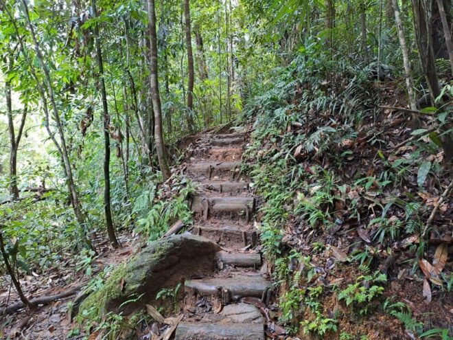 Sinharaja Rainforest Tour - Inclusions and Amenities