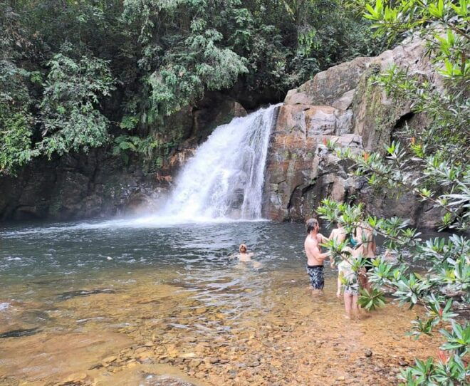 Sinharaja Rainforest Tour - Participant Considerations
