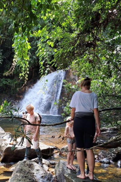 Sinharaja Rainforest Tour - Wildlife and Nature