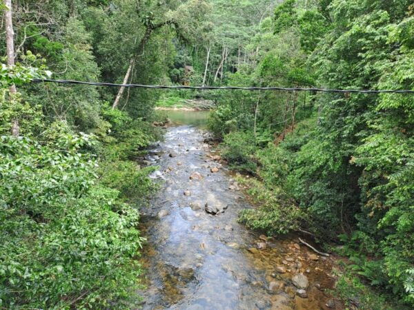 Sinharaja Rainforest Tour - Frequently Asked Questions