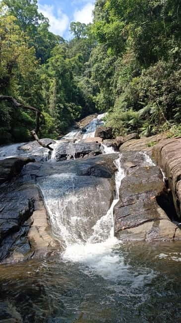 Sinharaja Rainforest: Tour with 5 Waterfalls Trek - Final Thoughts
