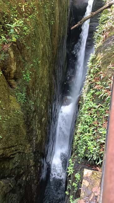 Sinharaja Rainforest: Tour with 5 Waterfalls Trek - FAQ