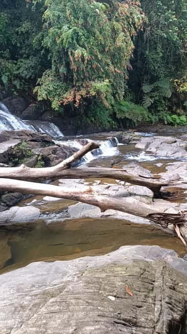 Sinharaja Rainforest: Tour with 5 Waterfalls Trek - FAQs