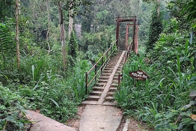 Sinharaja Rainforest Trek Guided Jungle Hiking Experience - Introduction
