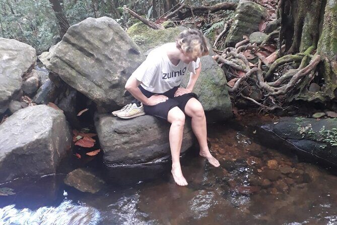 Sinharaja Rainforest Trek Guided Jungle Hiking Experience - Good To Know