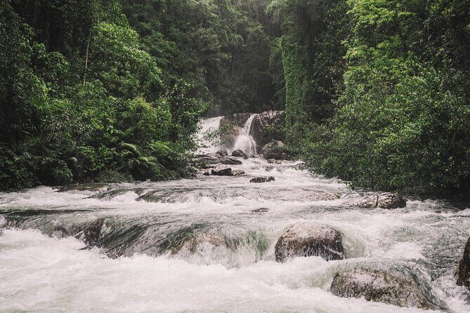 Sinharaja Rainforest Trek with Guide and Lunch - FAQs