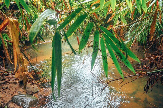 Sinharaja Rainforest Trek with Guide and Lunch - Frequently Asked Questions