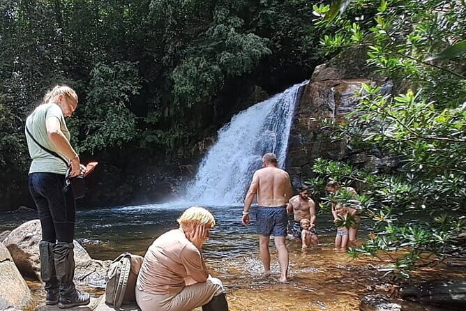 Sinharaja Rainforest Trip - Good To Know