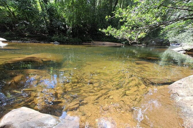 Sinharaja Rainforest Trip - Starting the Adventure: Hotel Pickup & Scenic Drive