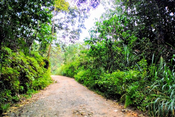 Sinharaja Rainforest & Udawalawe Safari - 2 Days, All Inclusive - Accommodation Information