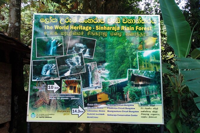 Sinharaja Rainforest & Udawalawe Safari - 2 Days, All Inclusive - Flexible Cancellation Policy