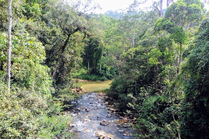 Sinharaja Rainforest & Udawalawe Safari - 2 Days, All Inclusive - Pricing and Reviews