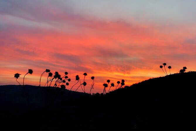 Sinhgad halfday Tour Explore the Fort and Scenic Views - The Sum Up