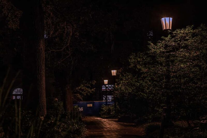 Sinister Sins & Shadows: A Savannah Ghost Tour - Who Will Love This Tour?