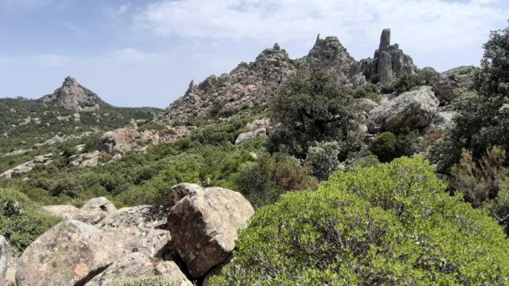 Sinnai: Hiking on the Deers' Trail in Sette Fratelli Park - Activity Information