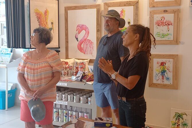 Sint Maarten Art Gallery Guided Tour - Who Will Love This Tour?
