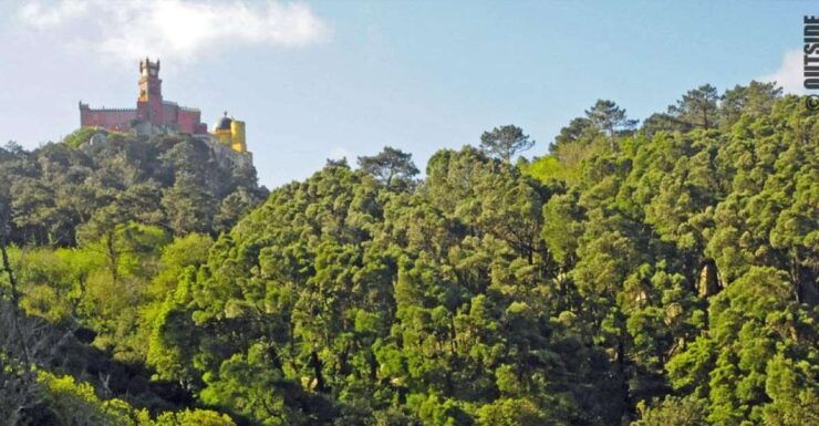 Sintra: 3.5-Hour Rock Climbing Experience - Experience Duration and Tour Options