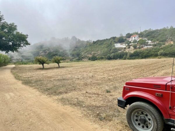 Sintra and Cascais Private Tour 4x4 Adventure - Full Day - Customer Reviews and Ratings