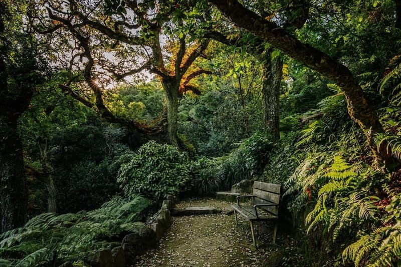 Sintra, Cabo da Roca & Cascais: Full-Day Private Guided Tour - What’s Included and What’s Not