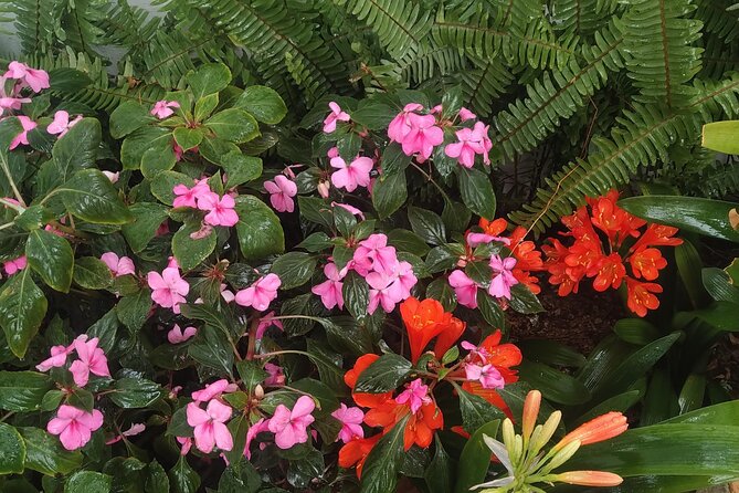 Sintra-Cabo Roca-Cascais Small Groups on the Portuguese Riviera - The Sum Up