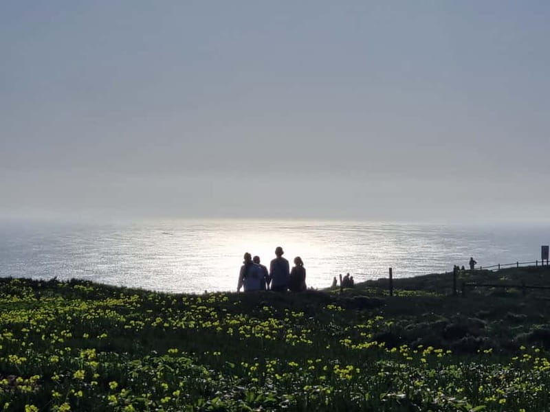 Sintra, Cascais, Cabo da Roca dia completo - Good To Know