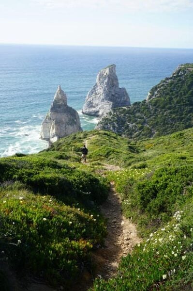 Sintra: Castles, Palaces, and Natural Wonders - Quinta Da Regaleira and Sintra Palace