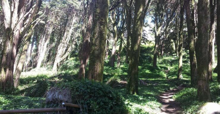 Sintra Complete Experience - Tour Details