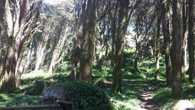 Sintra Complete Experience - Booking