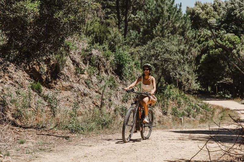 Sintra: E-bike tours of the incredible landscapes - Good To Know