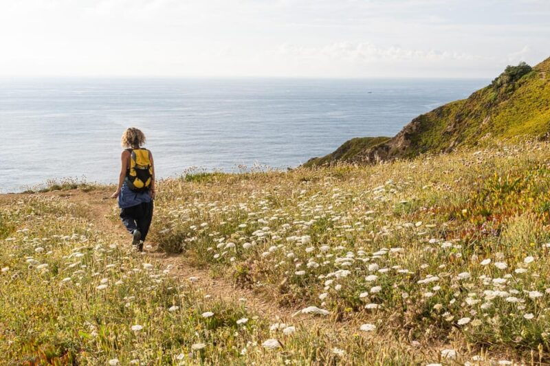 Sintra: Flexible Hiking Tour in Praia da Ursa - Why This Tour Is Worth Considering