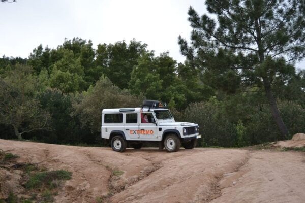Sintra: Half Day Jeep Safari - Customer Feedback