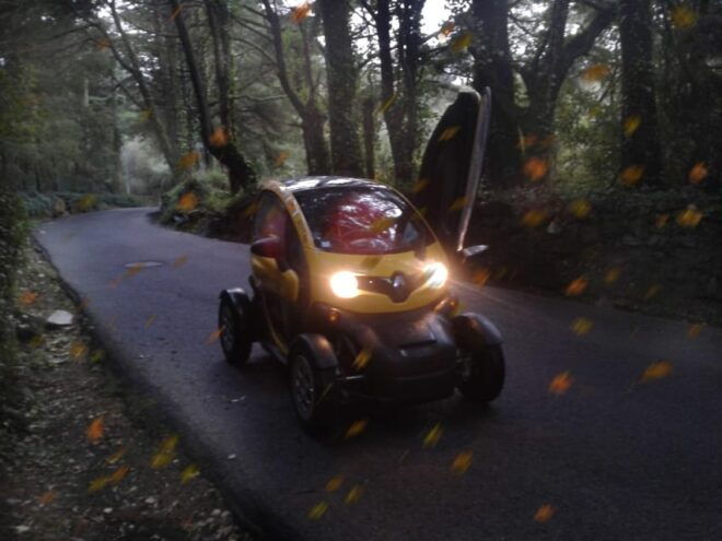 Sintra: Heritage, Gardens & Nature Tour E-Car GPS AudioGuide - Cancellation and Reservation