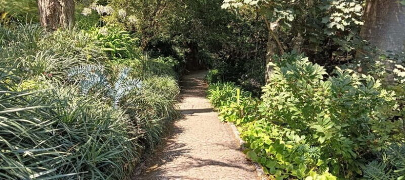 Sintra: Hidden Secrets Mountain Walk with Local Guide - Good To Know