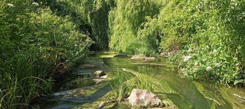 Sintra: Hidden Secrets Mountain Walk with Local Guide - FAQ
