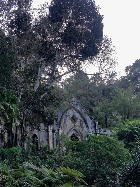 Sintra Highlights: Private Local Tour - Palaces & Views - Coastal Gems and Scenic Drives