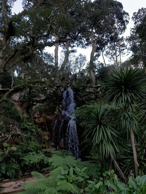 Sintra Highlights: Private Local Tour - Palaces & Views - Final Thoughts: Is This Tour Right for You?
