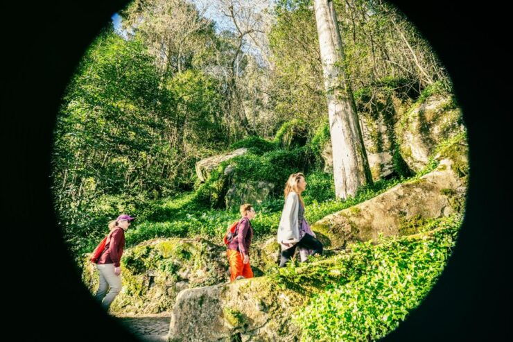 Sintra, Hike Like a Local, Cultural Walking Tour - Activity Details
