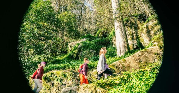 Sintra, Hike Like a Local, Cultural Walking Tour - Activity Description